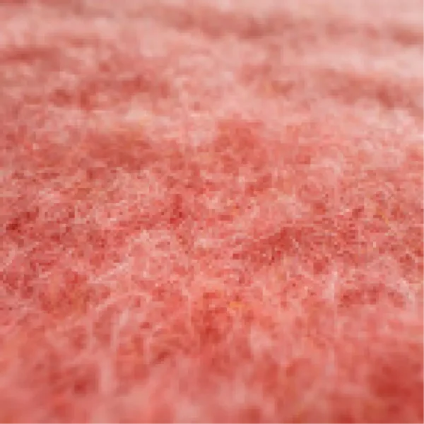 Raypath Pink Floor Pad, image 2